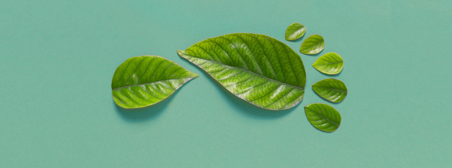 Nous marchons vers l'écoresponsabilité