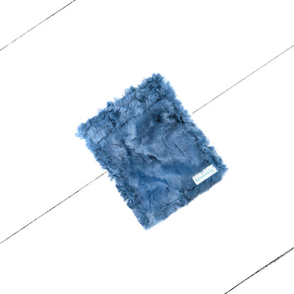 Rabat de Portefeuille Pwèle de geai bleu