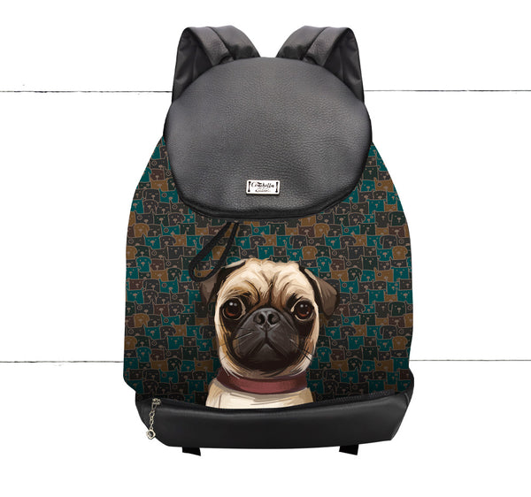 Pochette Coachella Oscar